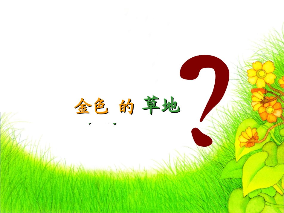 《金色的草地》课件_第3页
