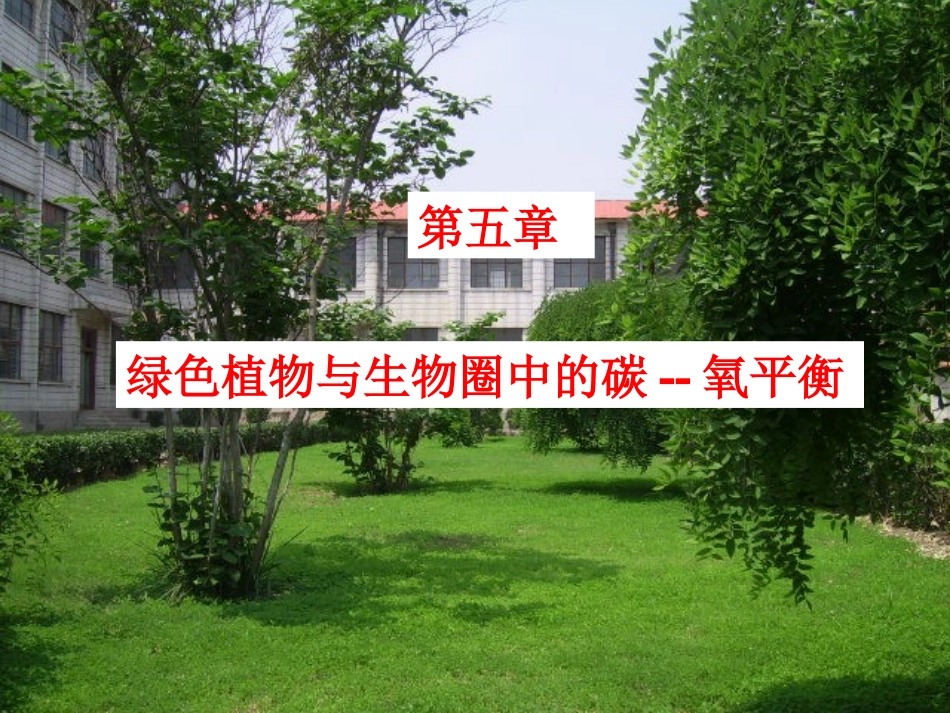绿色植物与生物圈中的碳氧平衡课件1_第3页