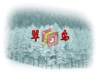 人教版三年级语文下册《翠鸟》课件PPT