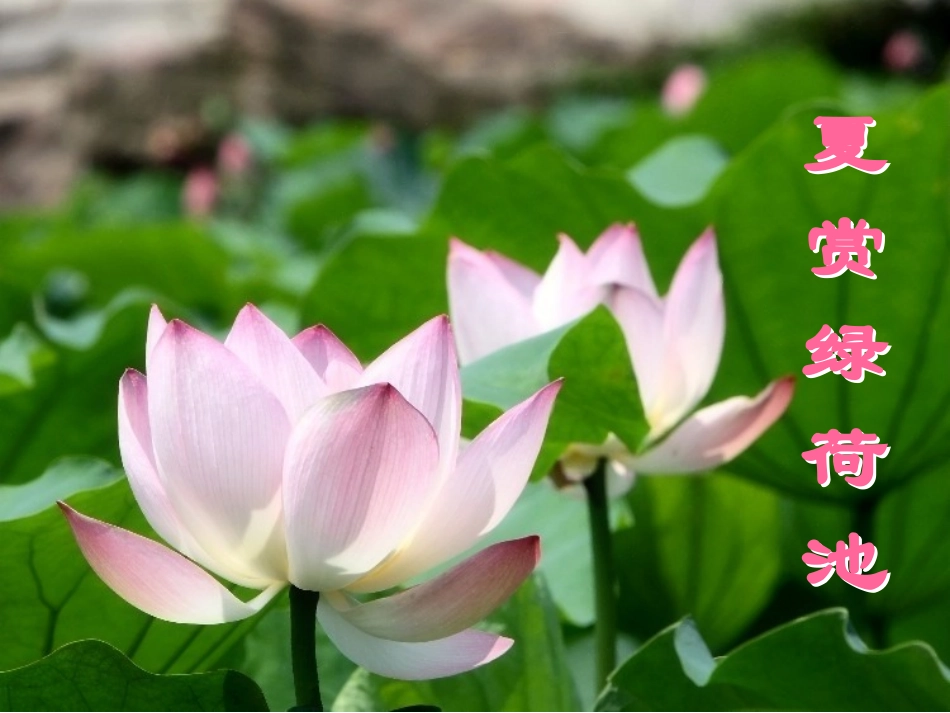 济南的冬天-(2)_第2页