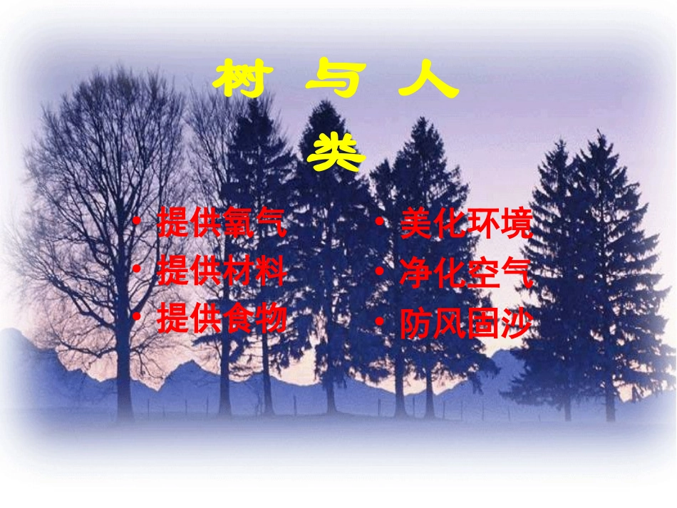 那---树.课用_第2页