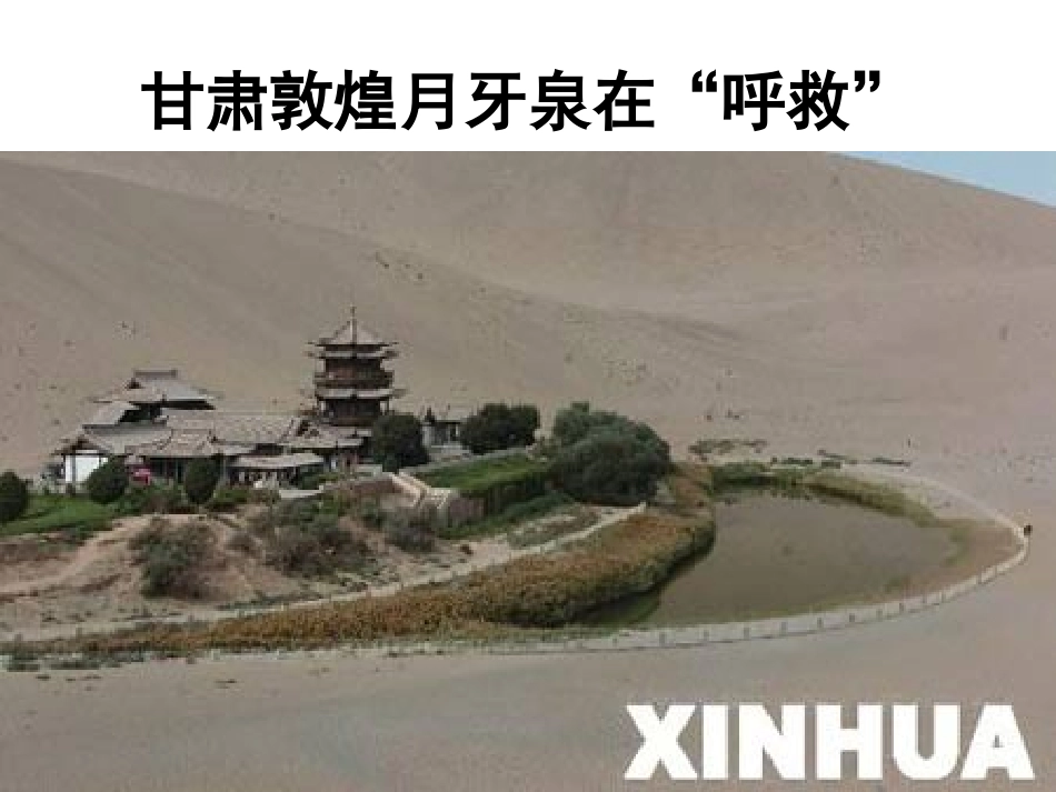 那---树.课用_第3页