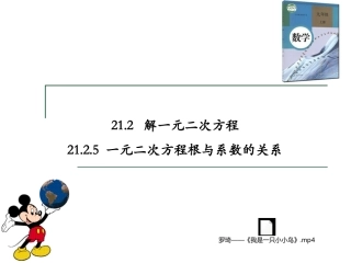 一元二次方程根与系数关系.2.5-一元二次方程根与系数的关系