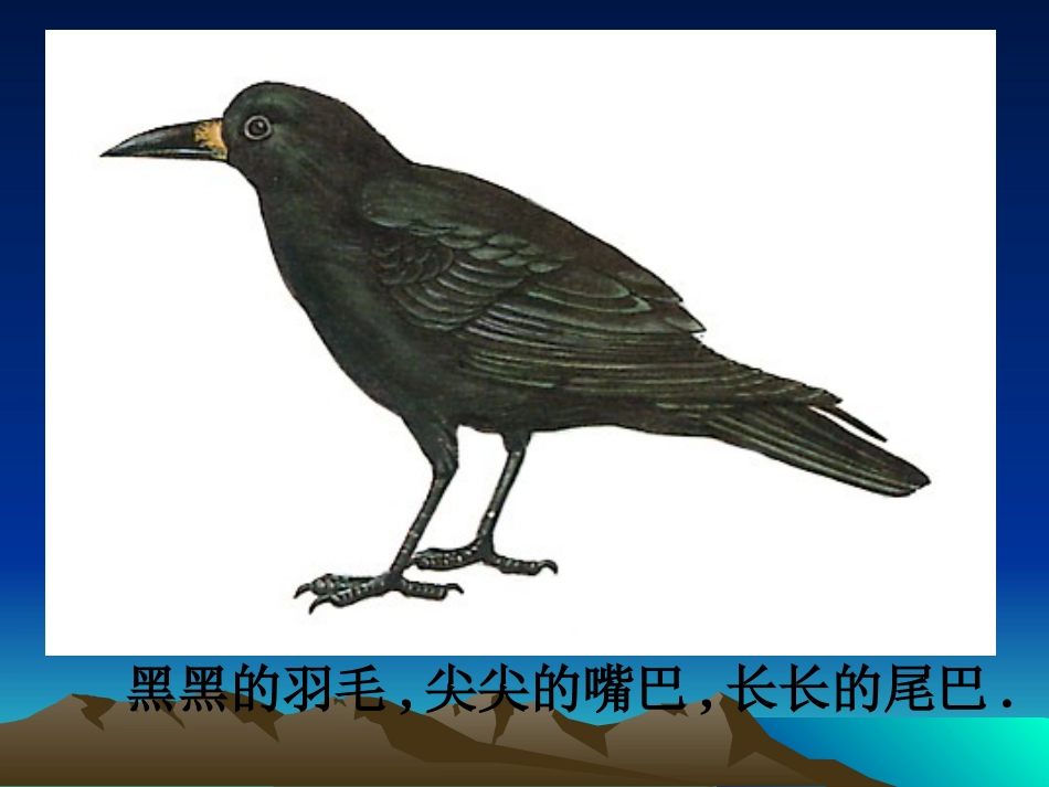 乌鸦喝水(xin)_第2页