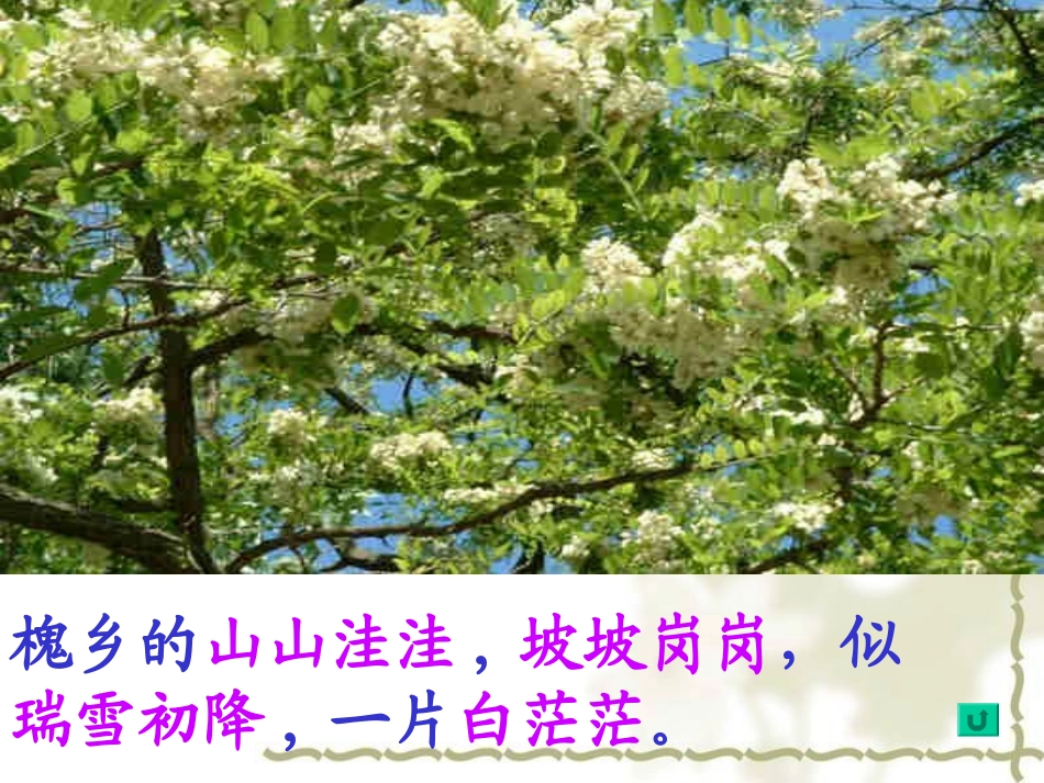 槐乡五月课件1_第3页