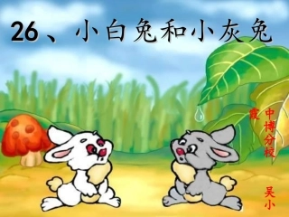 26-小白兔和小灰兔123