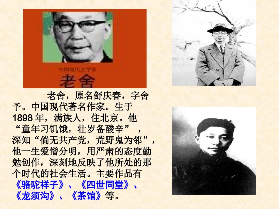 九年级《在烈日和暴雨下》ppt课件_第2页