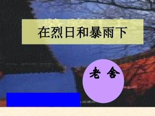 九年级《在烈日和暴雨下》ppt课件