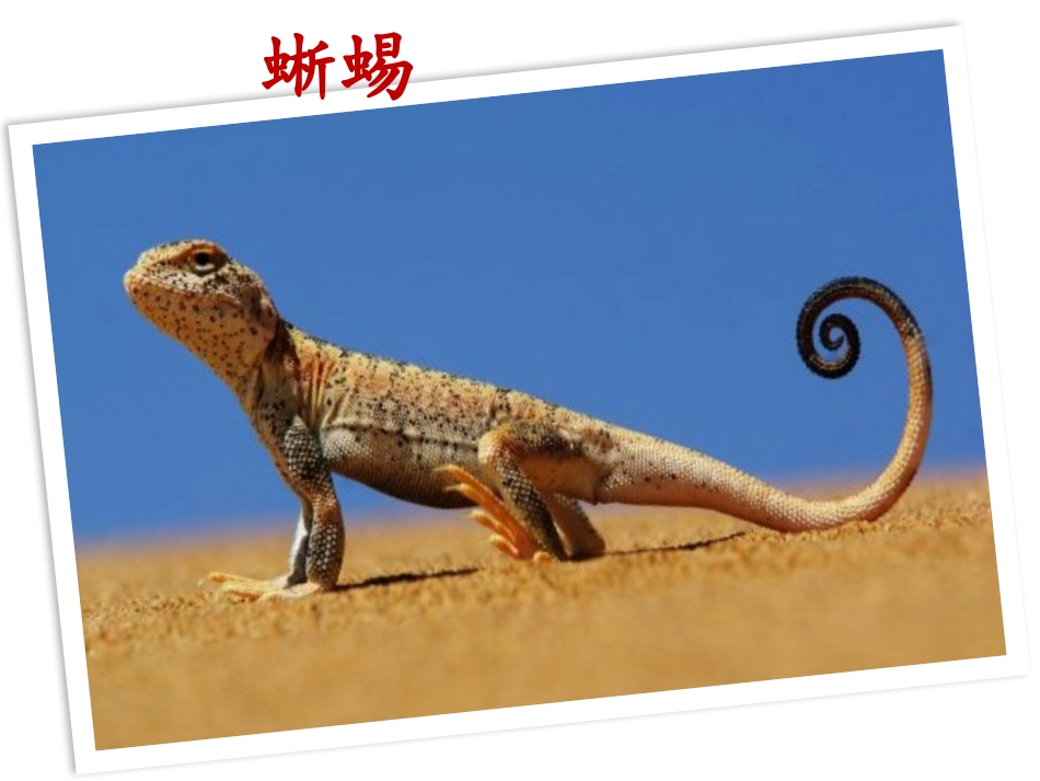 人教2011版小学数学三年级万以内的加法和减法(二)第一课时加法_第3页