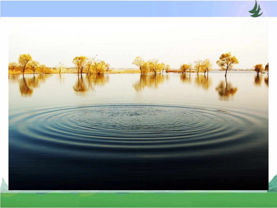 第六单元----第一课时《圆的认识》_第3页