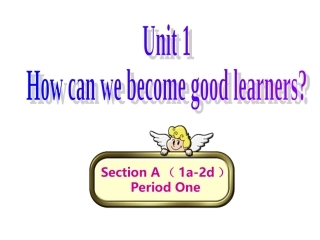 SectionA1