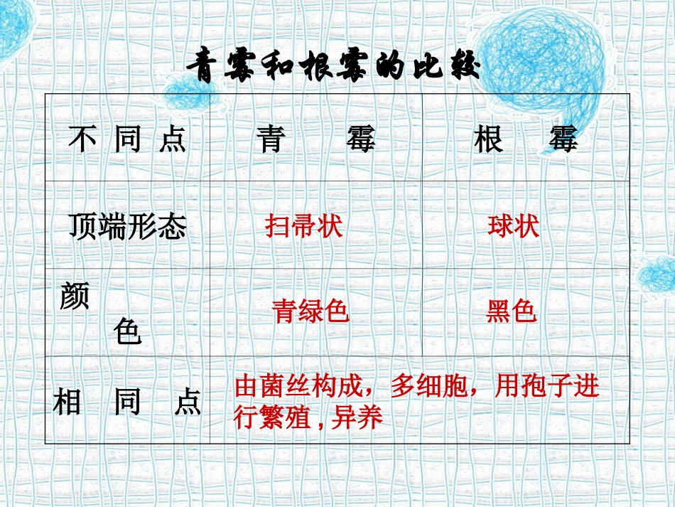 青霉和根霉的比较_第3页