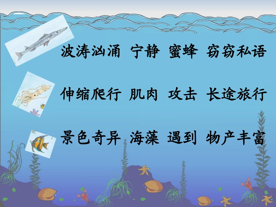 《海底世界》配套课件_第2页