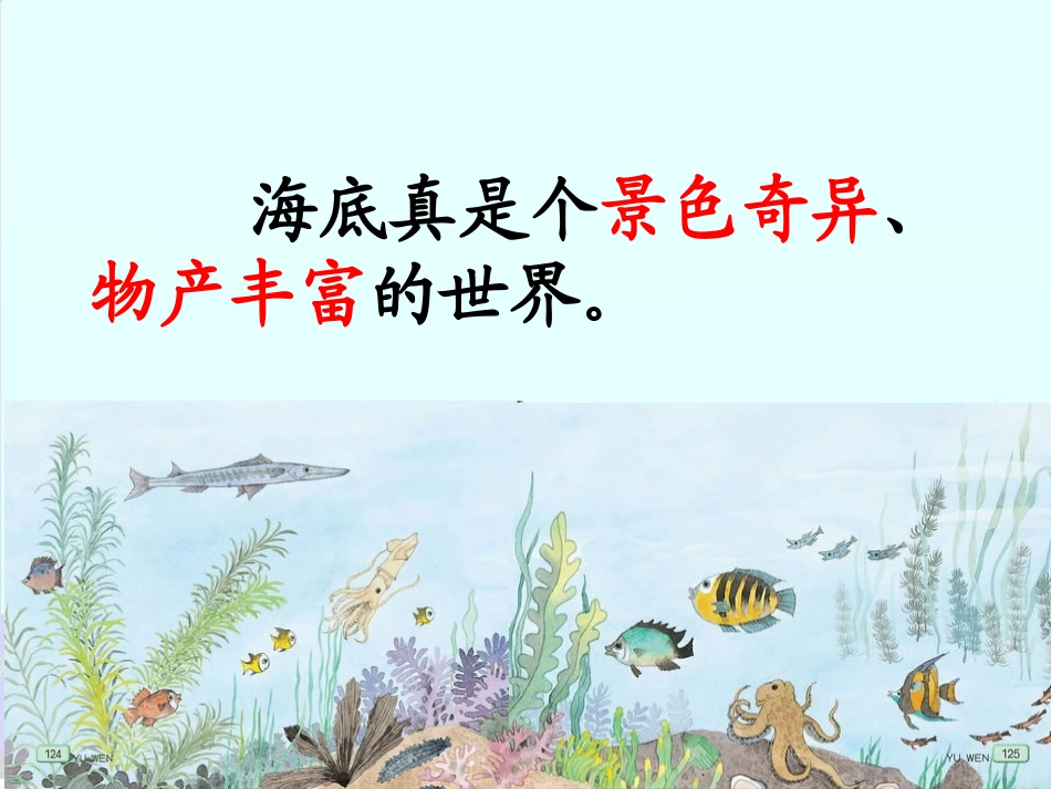《海底世界》配套课件_第3页
