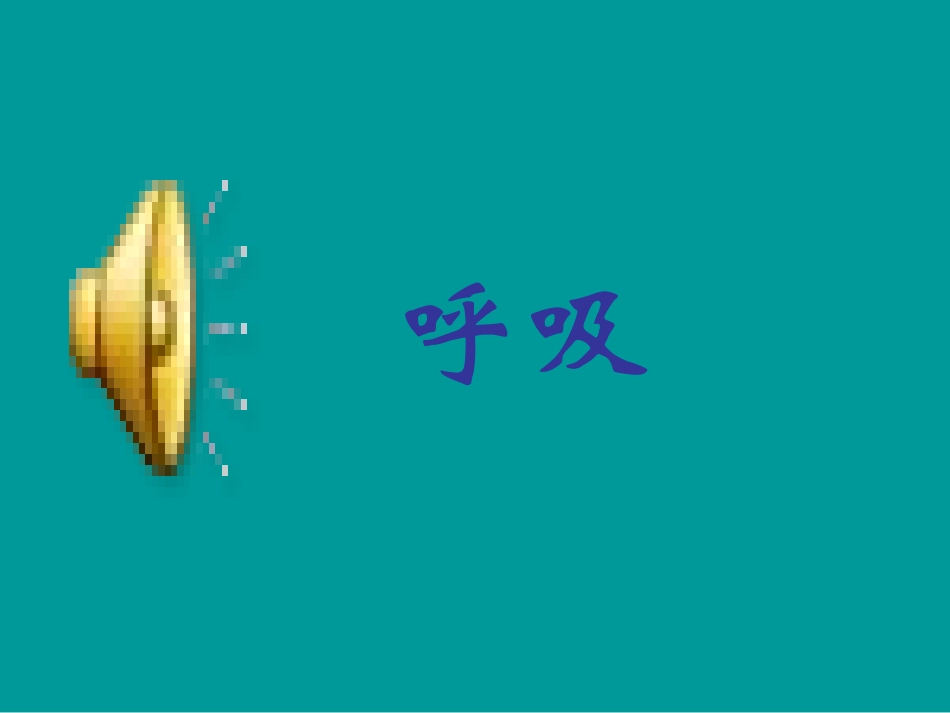 《测量呼吸、心跳和脉搏》课件(2)_第2页