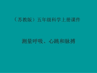 《测量呼吸、心跳和脉搏》课件(2)