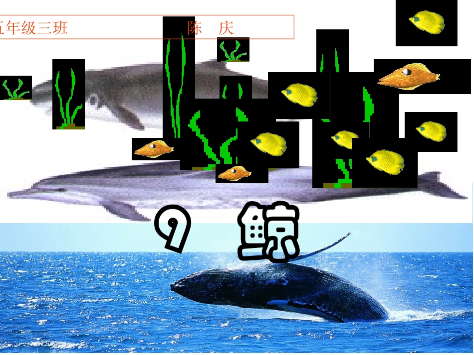 《9鲸》PPT课件_第1页