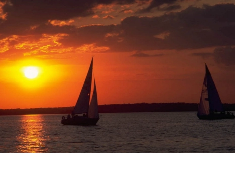 (苏教版)三年级语文下册课件-《赶海》_第3页