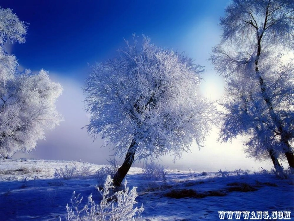 升华和凝华0_第2页