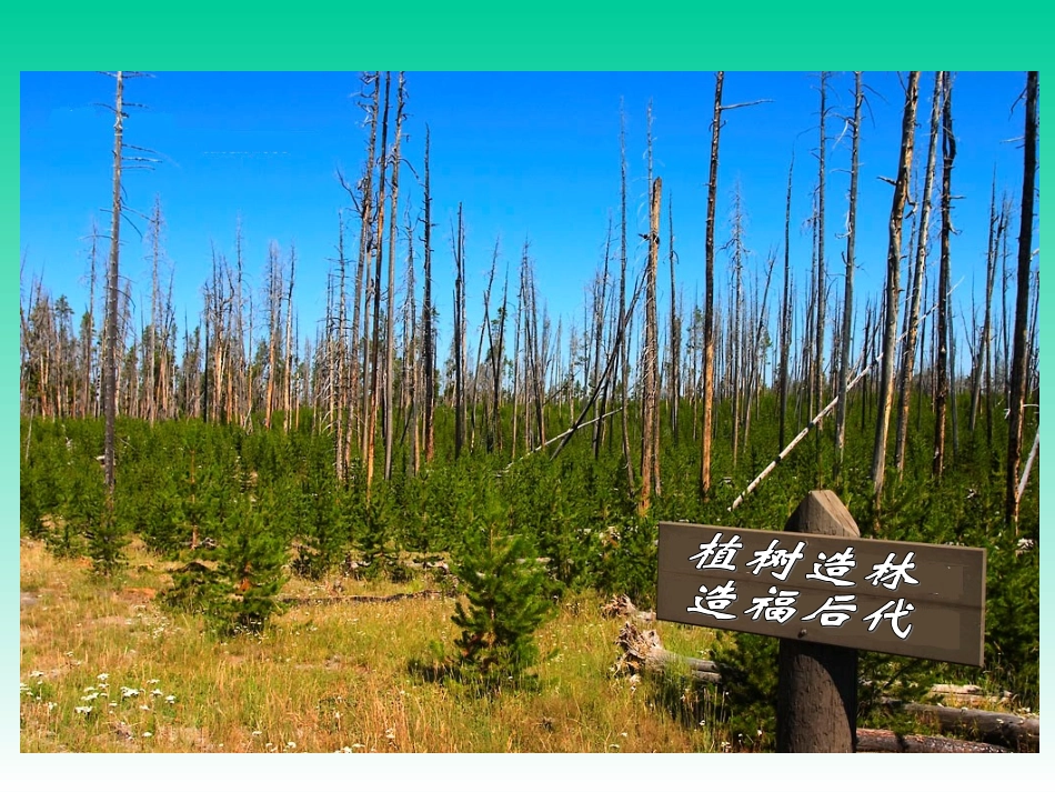 百分数应用二2_第3页