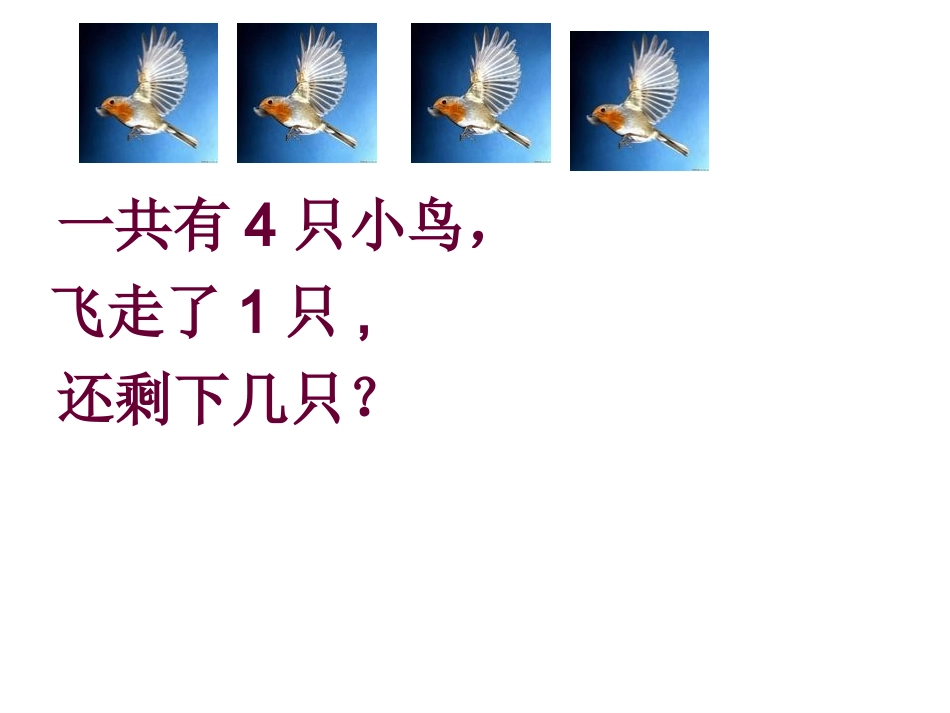 人教版小学数学课件《减法的初步认识》_第2页