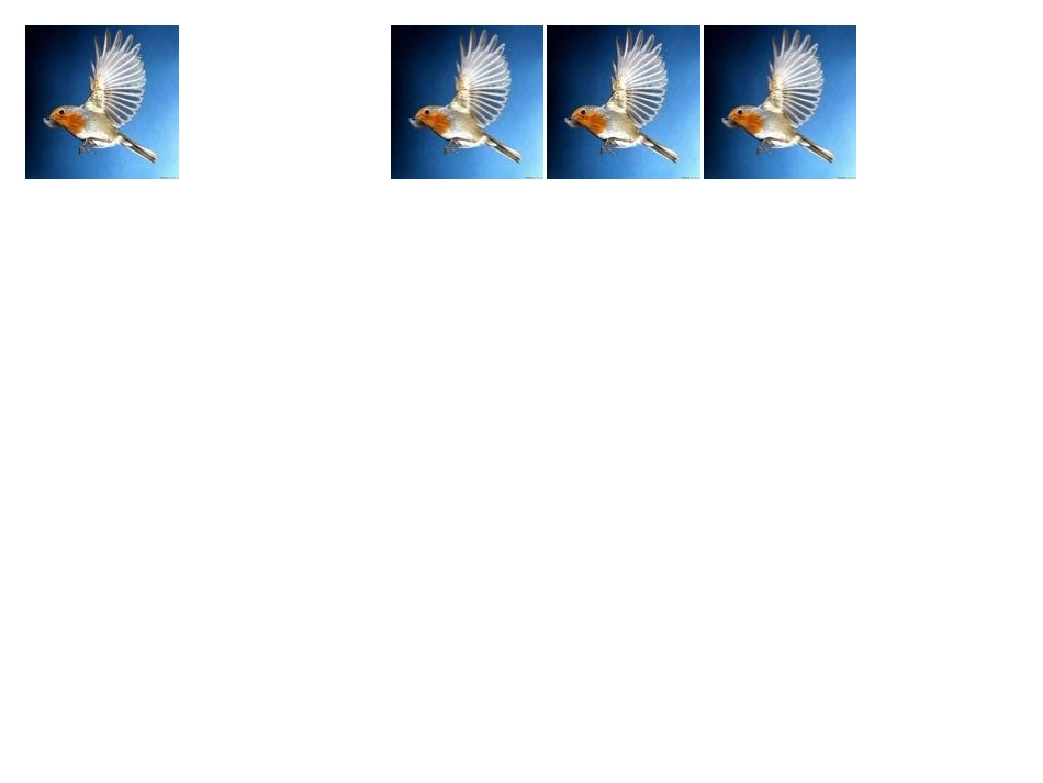 人教版小学数学课件《减法的初步认识》_第3页