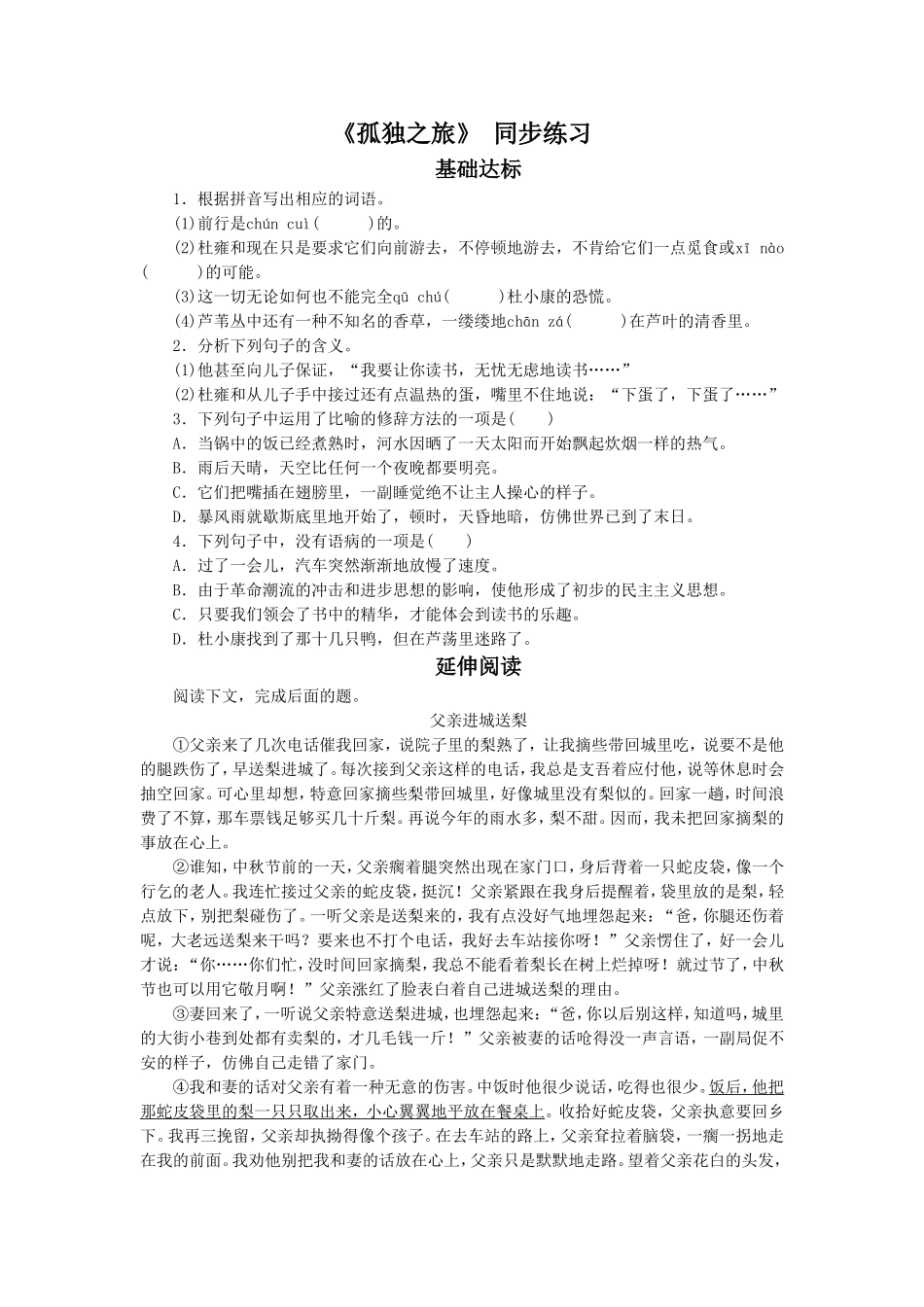 《孤独之旅》-同步练习4_第1页