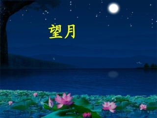《月空遐想》