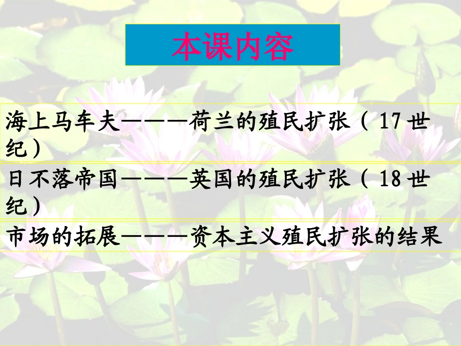 必修二第6课殖民扩张与世界市场的拓展_第2页