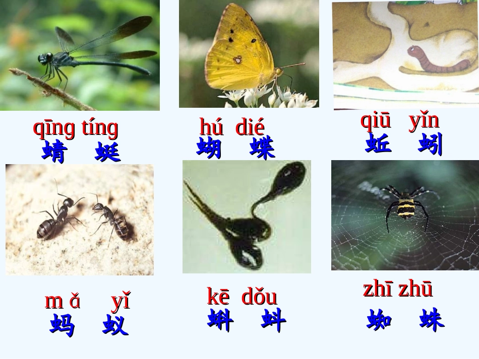 (部编)人教语文2011课标版一年级下册5-动物儿歌-(2)_第2页