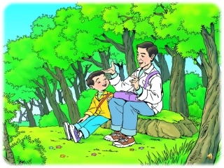 父亲和鸟刘新建