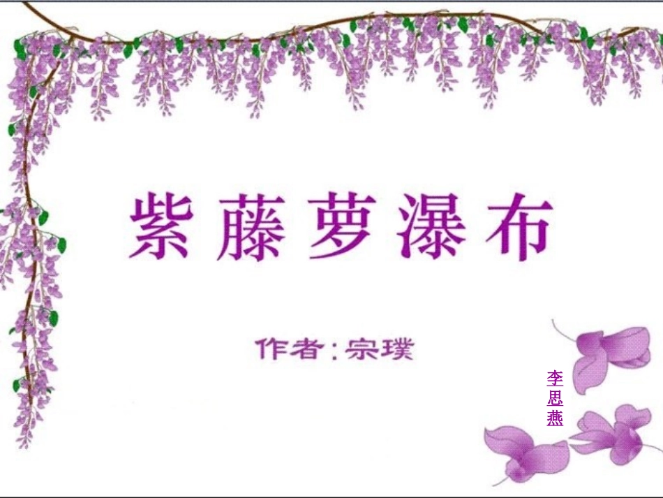 紫藤萝瀑布(李思燕)_第1页