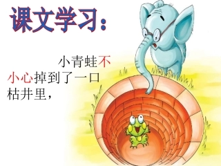 《快乐的小青蛙》课文学习