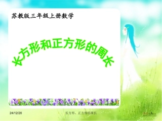 长方形、正方形的周长计算