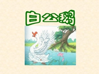 13白公鹅ppt