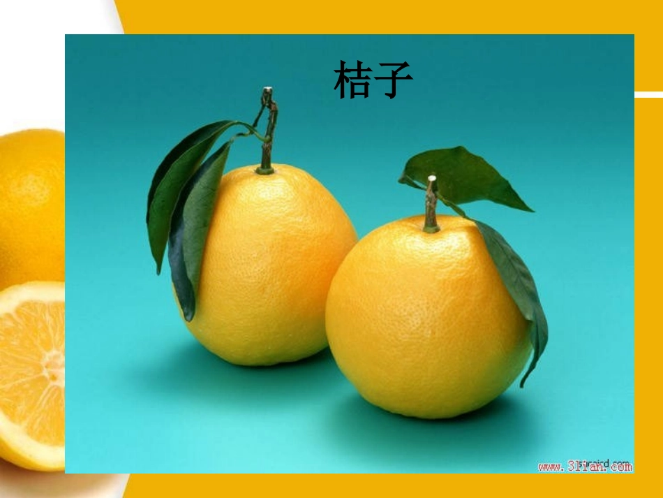 13《各式各样的水果》_第3页