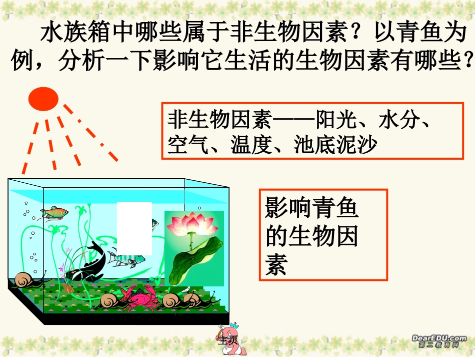 第二节生物与环境组成生态系统_第2页