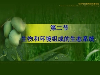 第二节生物与环境组成生态系统
