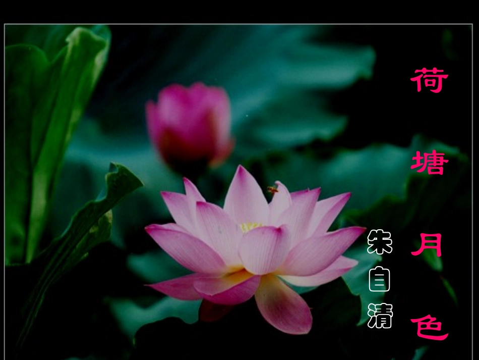 《荷塘月色》优秀课件ppt_第1页