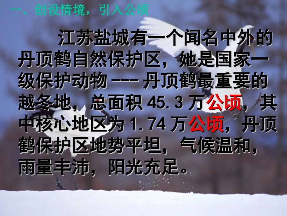 小学人教四年级数学公顷的认识-(2)_第2页