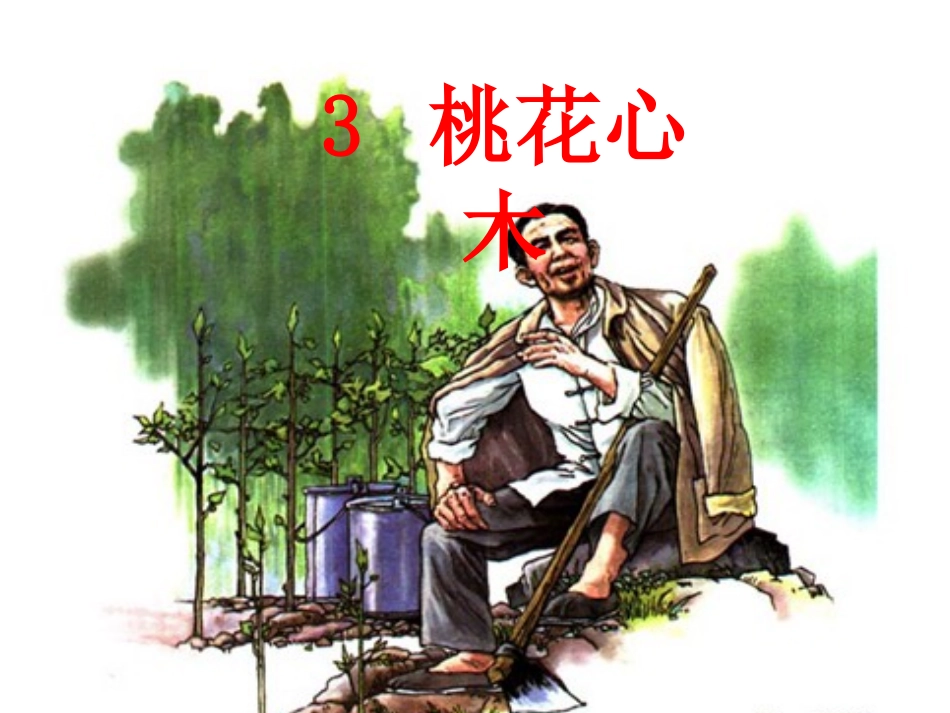 《桃花心木》课件_第1页