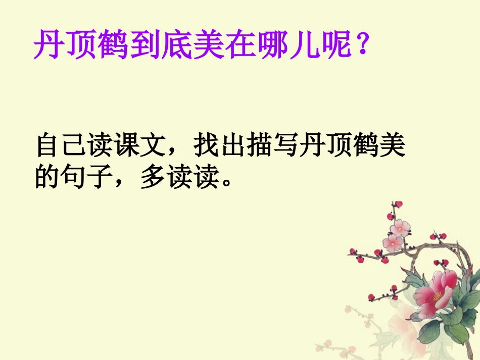 美丽的丹顶鹤-课件1_第3页