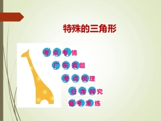 三角形证明复习课-特殊三角形