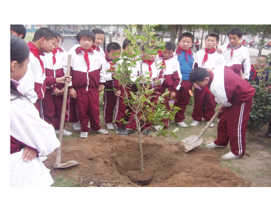 三年级下册《笔算除法》_第3页