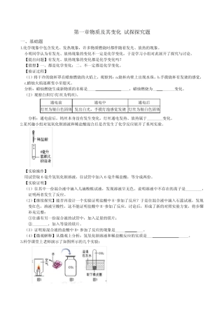 9年级上册 第一章 物质及其变化 试探探究题 专项突破 (含答案)
