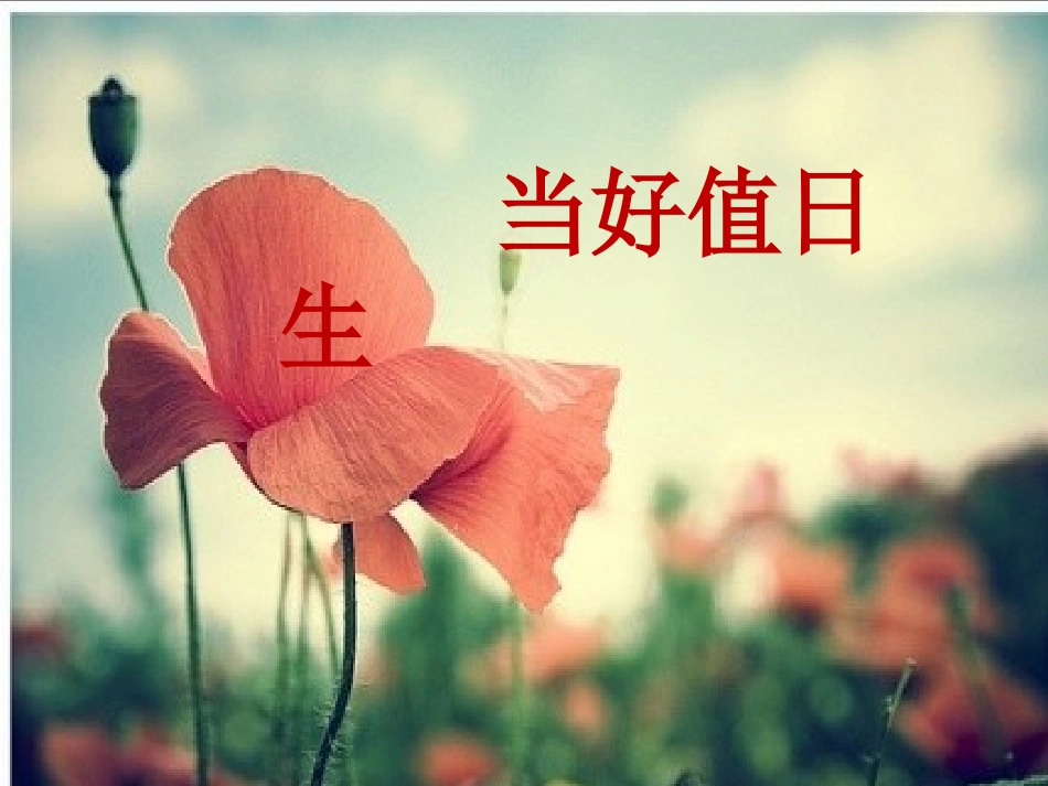 我要做好值日生_第1页
