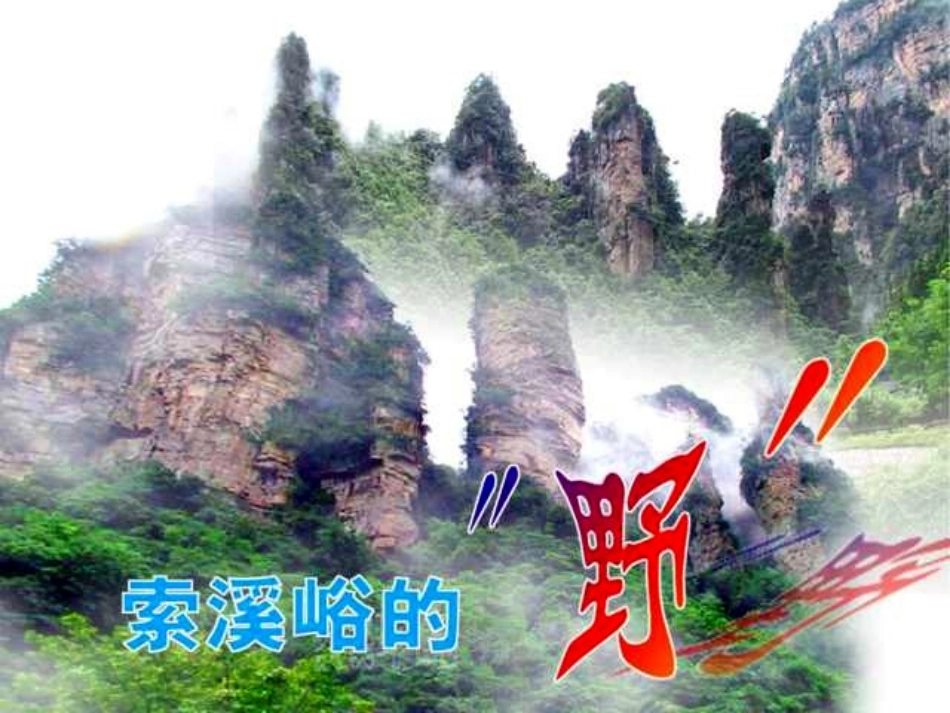 人教版小学语文六年级上册《索溪峪的“野”》PPT课件(1)_第1页