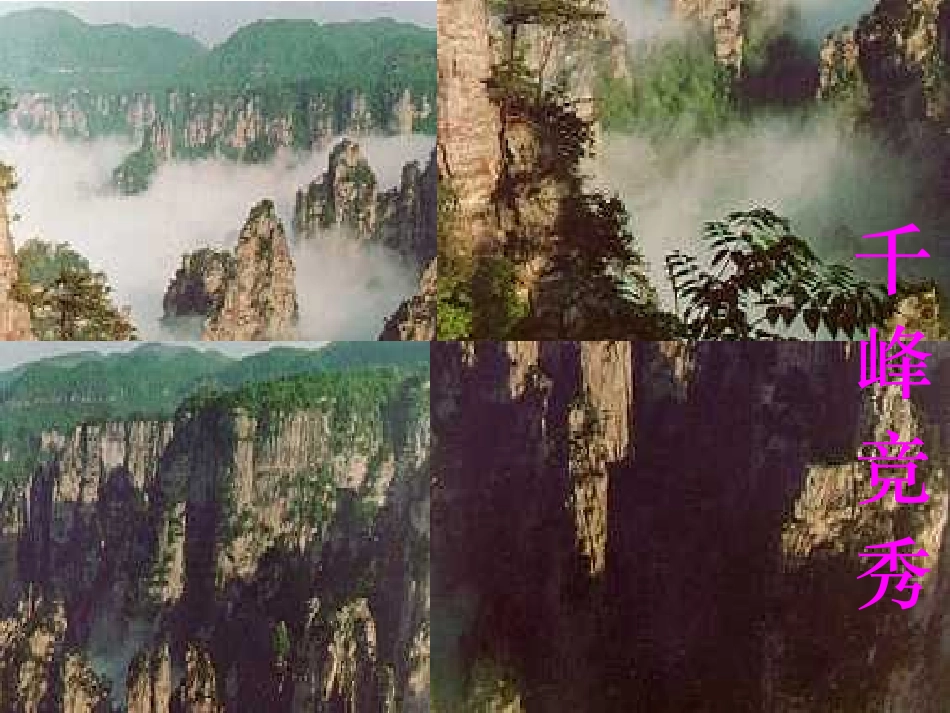 人教版小学语文六年级上册《索溪峪的“野”》PPT课件(1)_第2页