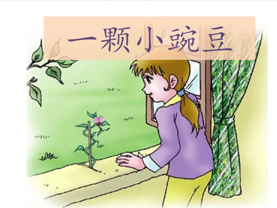《一颗小豌豆》课件1_第1页