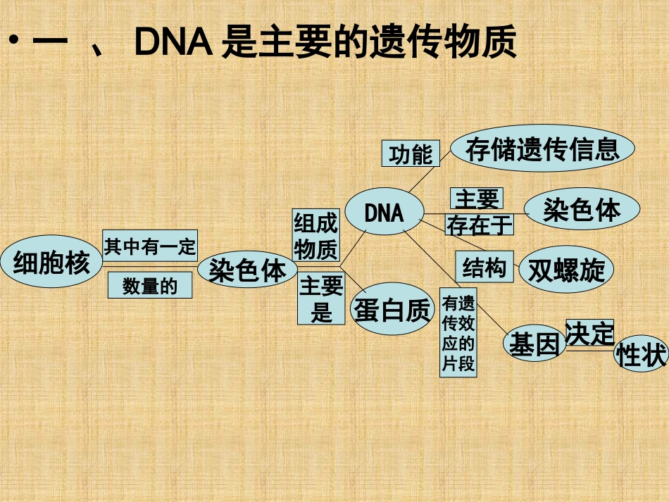生物的遗传和变异PPT_第2页
